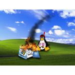 indianertux.jpg